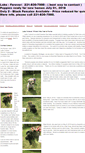 Mobile Screenshot of labs-forever.com