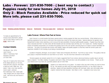Tablet Screenshot of labs-forever.com